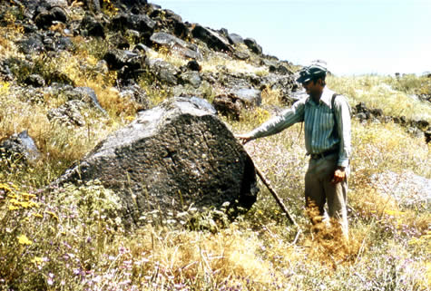 Pre-cuneiform inscription