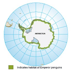 Emperor Penguin Habitat
