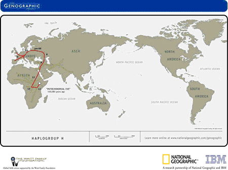 Genographic Map