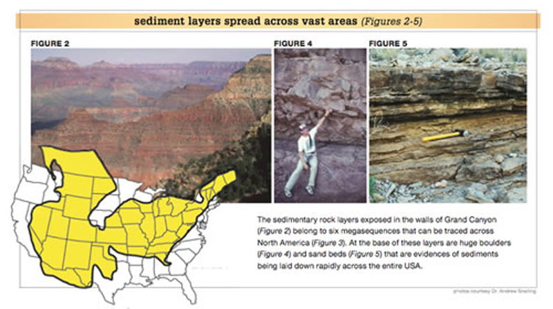 Grand Canyon sedimentary rock, boulders, sand beds, and evidence of being laid down rapidly