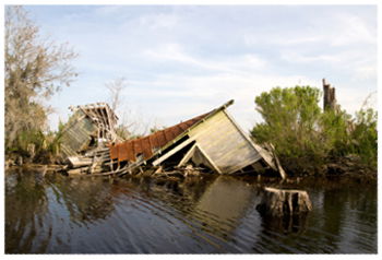 Hurricane Damage