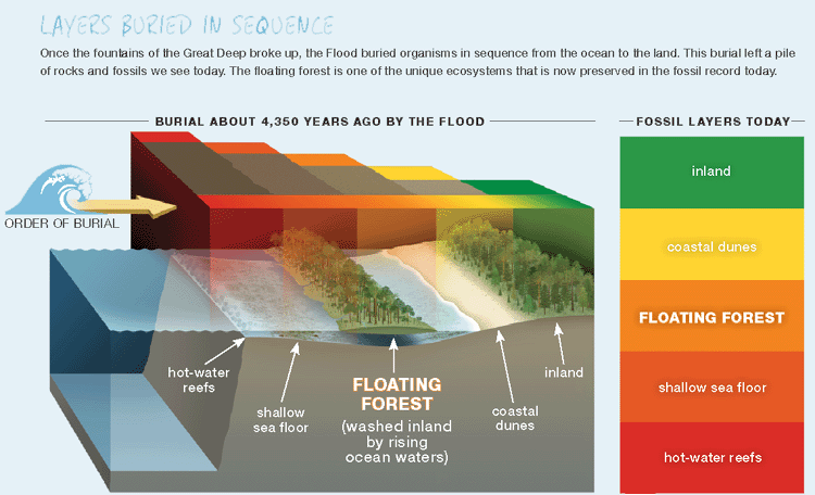 “Sedimentary Layers Show Millions of Years of Geological Activity ...