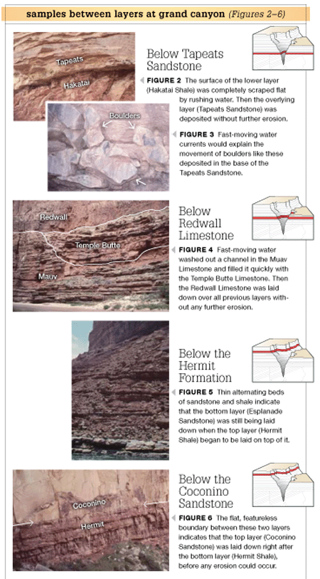 Grand Canyon Rock Layers