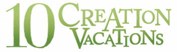 Creation Vacations