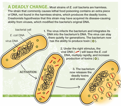 A Deadly Change