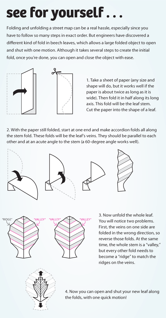 Paper folding example