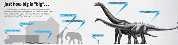 Sauropods Engineered For Size Answers In Genesis