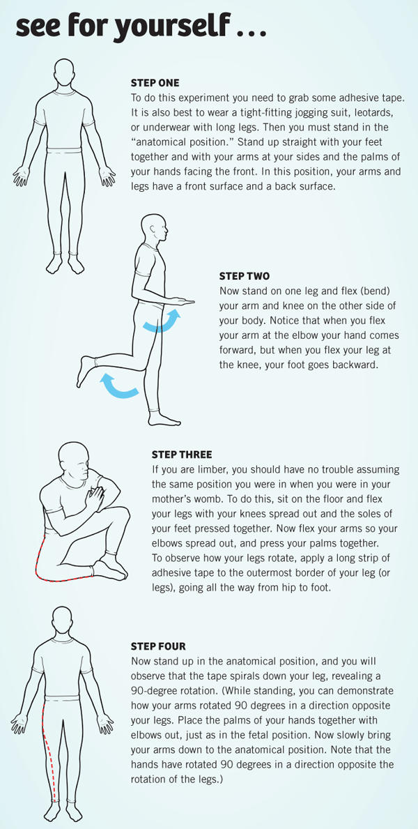 Leg Rotation Demonstration