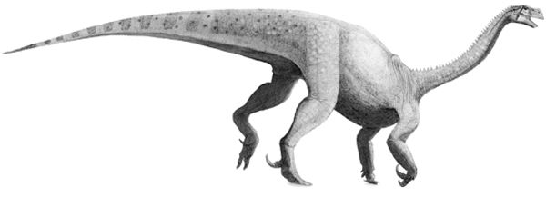 longnecked dinosaur