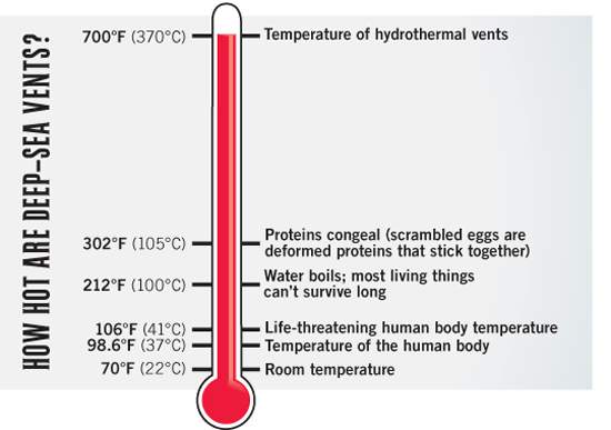 How Hot are Deep Sea Vents?