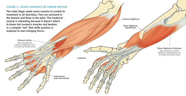 our-index-finger-pointing-to-the-creator-answers-in-genesis