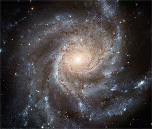 Spiral Galaxy