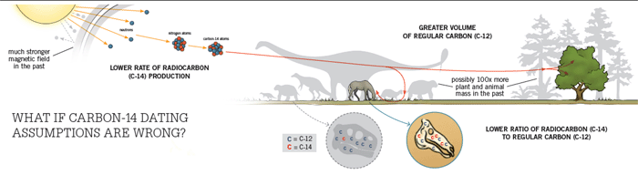 A Creationist Puzzle | Answers in Genesis