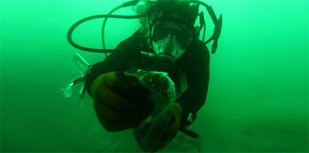 Diver in the Dead Sea