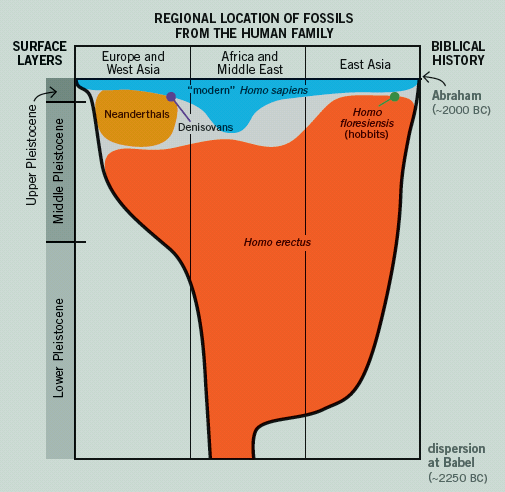 Regional Location of Fossils from the Human Family