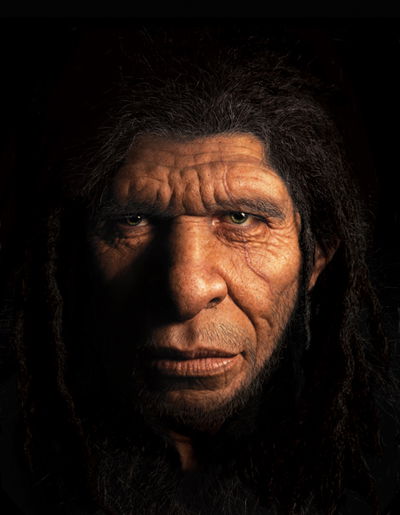 Neanderthal Face