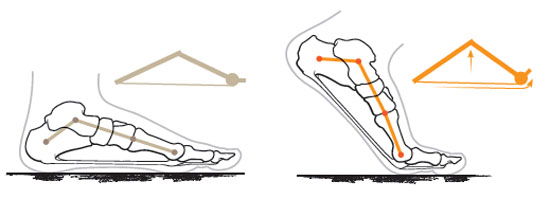 Windlass Foot Design