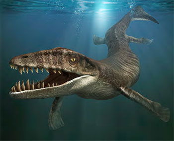 Dakosaurus