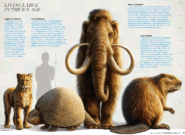 ice age animals pictures