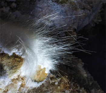 Cave Hair