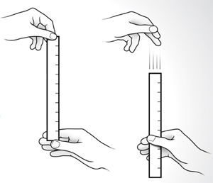 Ruler Experiment