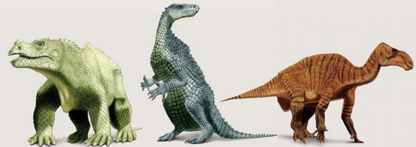 Iguanodon Drawings