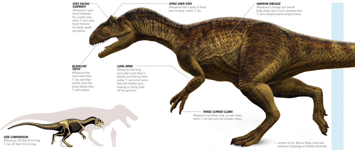 the lost world allosaurus