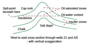Fig. 2. Cross-section of the Maureen Reservoir.