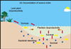 (A) Accumulation of Source Rocks