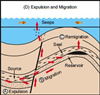 (D) Expulsion and Migration