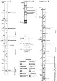 The local stratigraphic columns