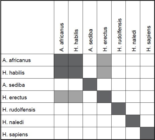 Baramic distance correlation results for measurements on the skull