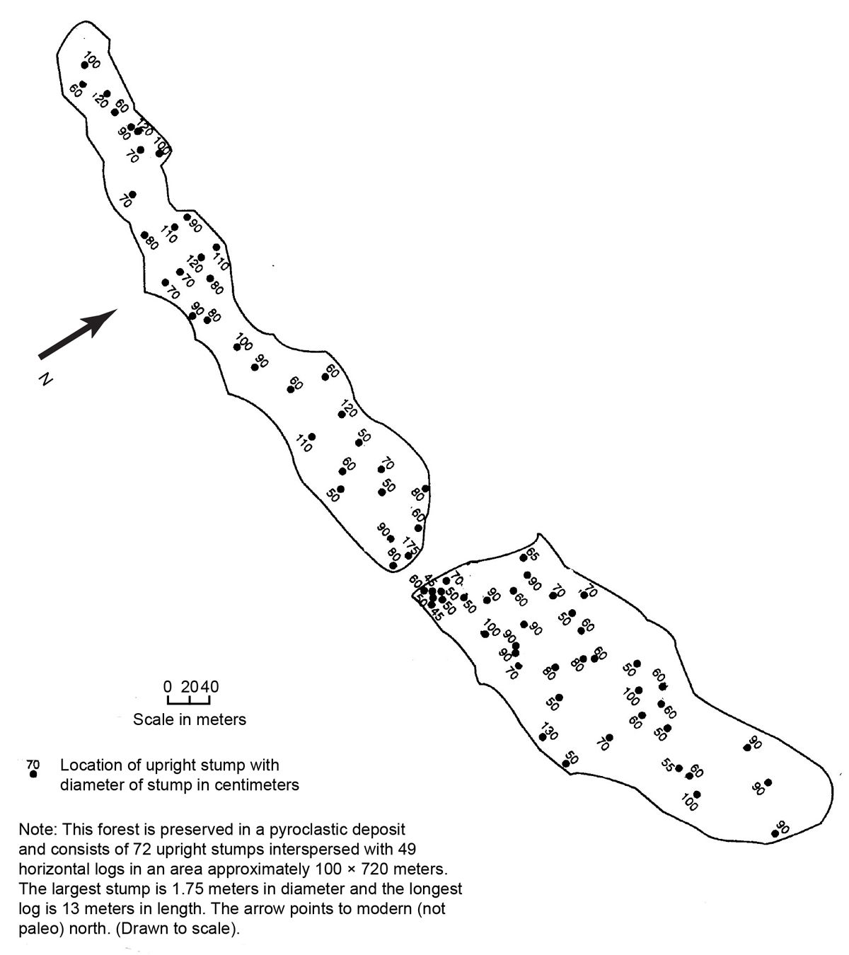 Full article: Marine and terrestrial invertebrate borings and fungal damage  in Paleogene fossil woods from Seymour Island, Antarctica