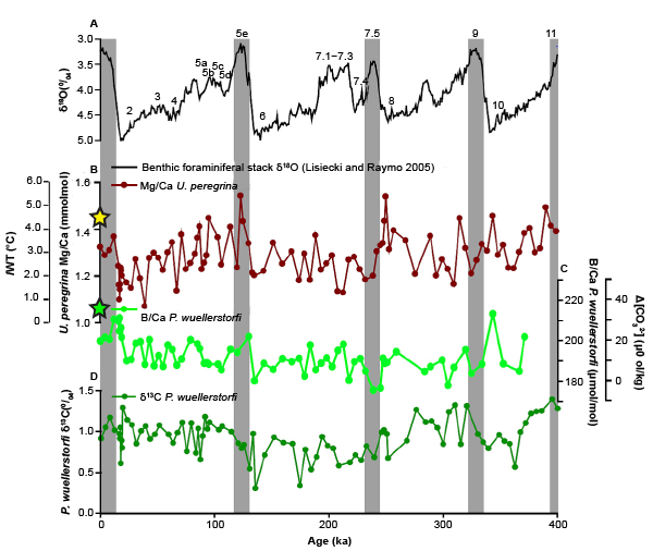 Fig. 19