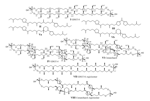 Fig. 8