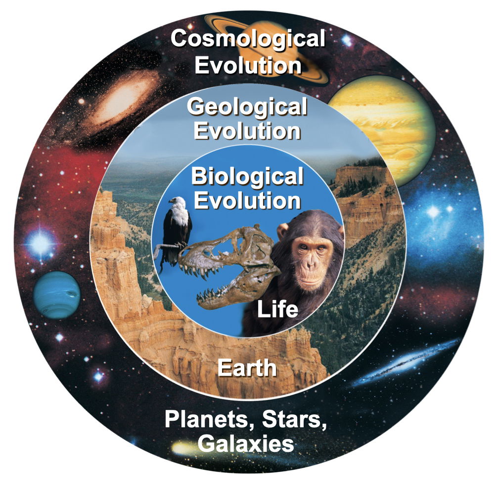 Grand theory of evolution