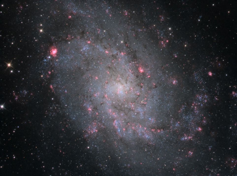 M33
