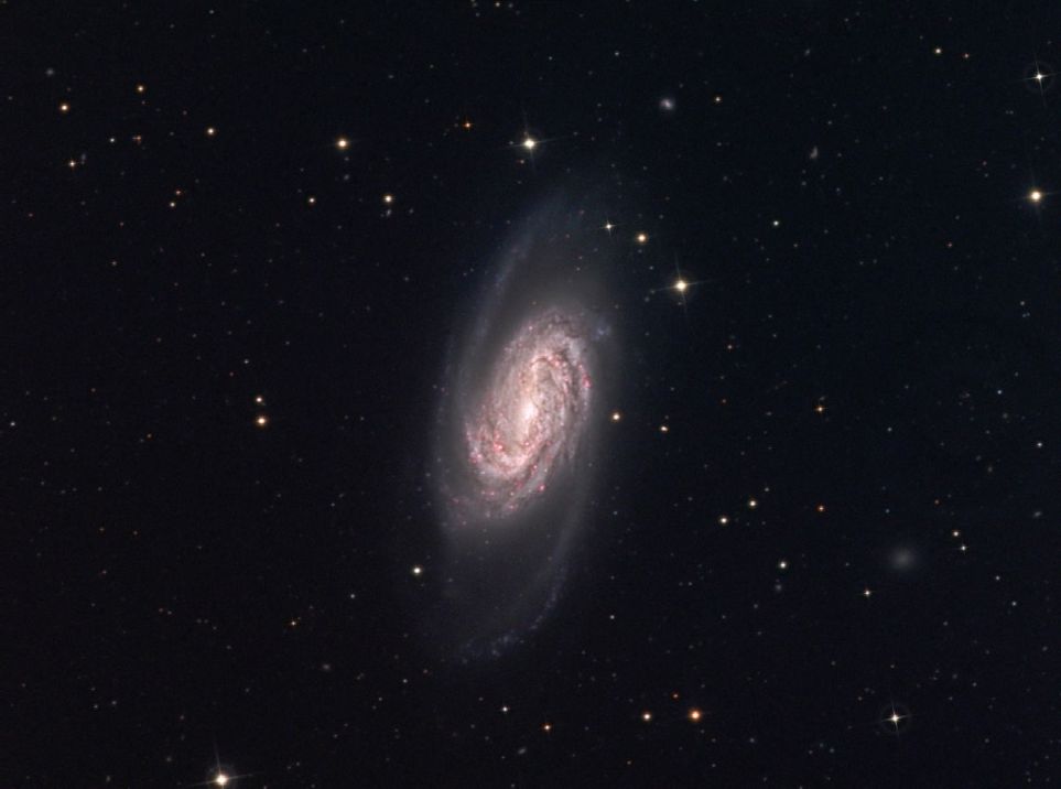 NGC 2903