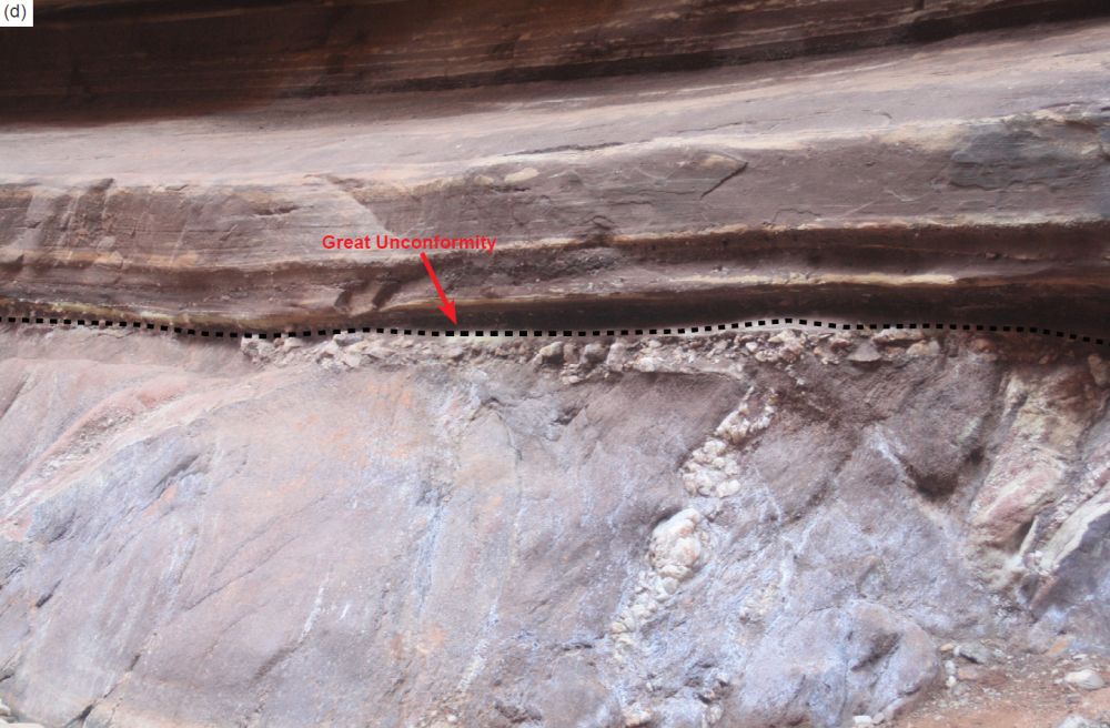 Figure 7d