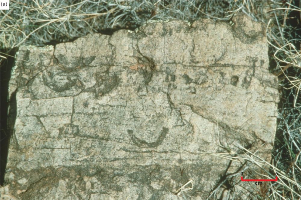 Figure 15a