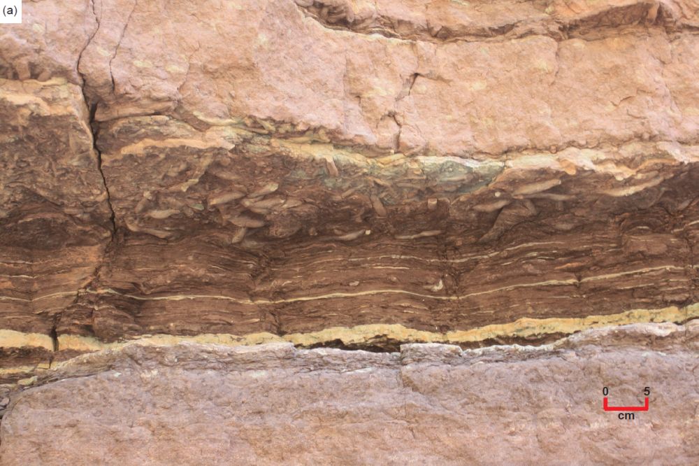 Figure 16a