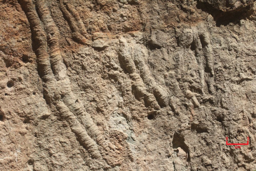 Figure 17