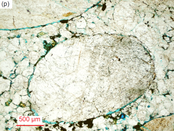 Figure 28p