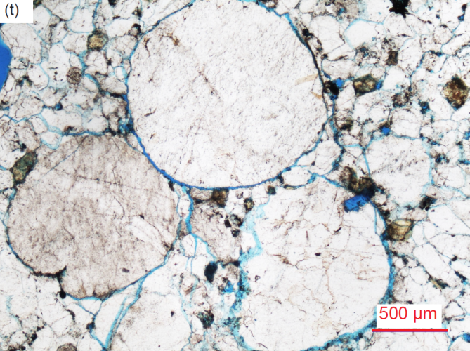 Figure 28t