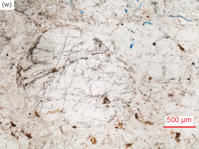 Figure 28w