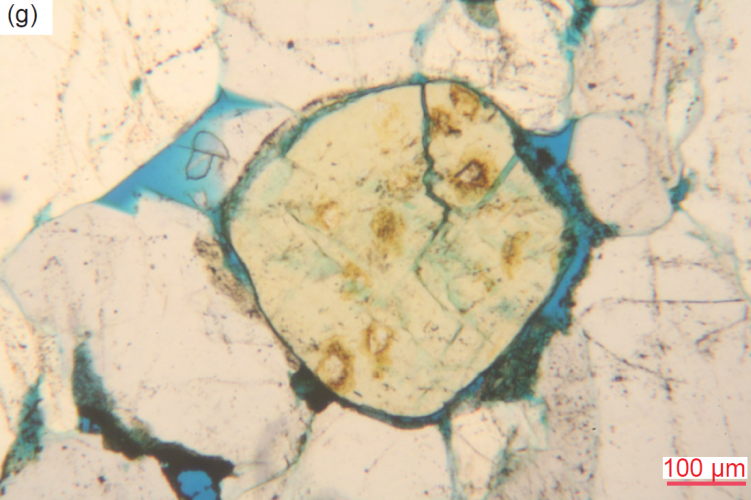 Figure 29g
