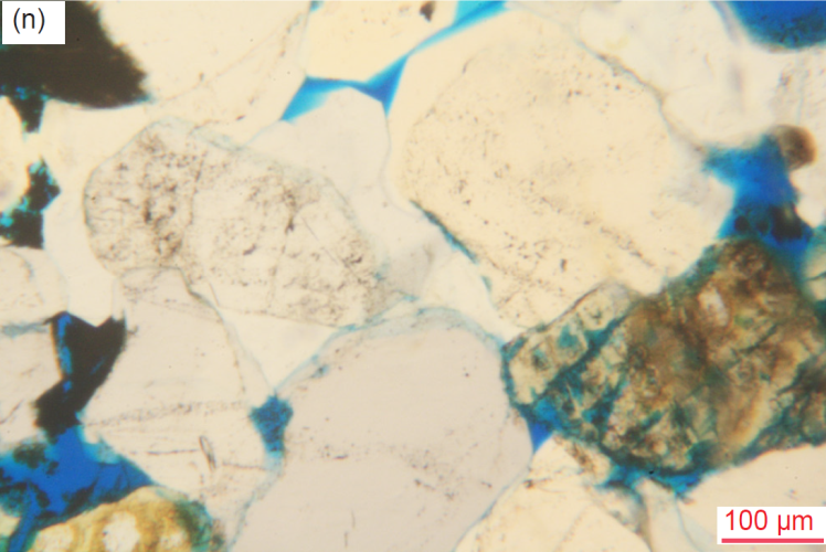Figure 29n