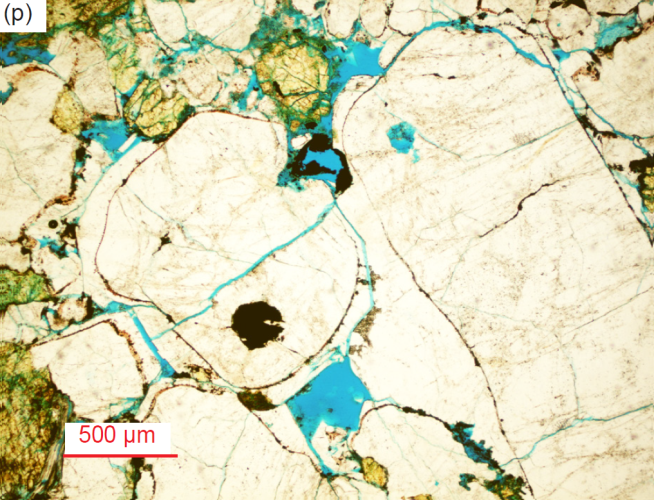 Figure 29p