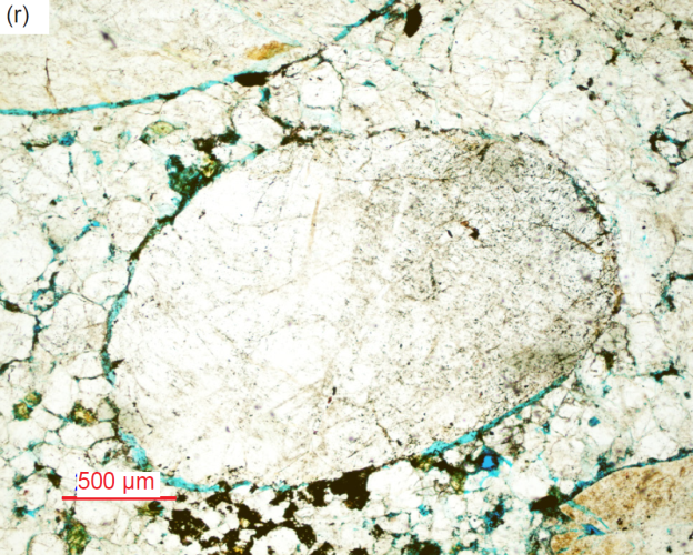 Figure 29r