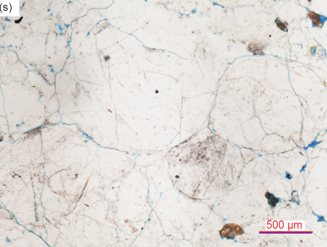 Figure 29s